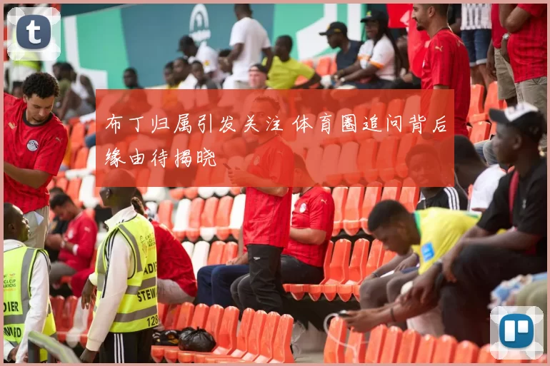 布丁归属引发关注 体育圈追问背后缘由待揭晓