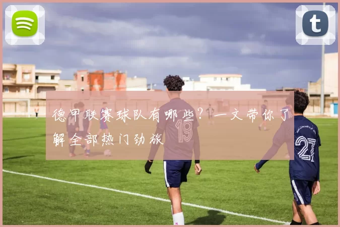 德甲联赛球队有哪些?一文带你了解全部热门劲旅