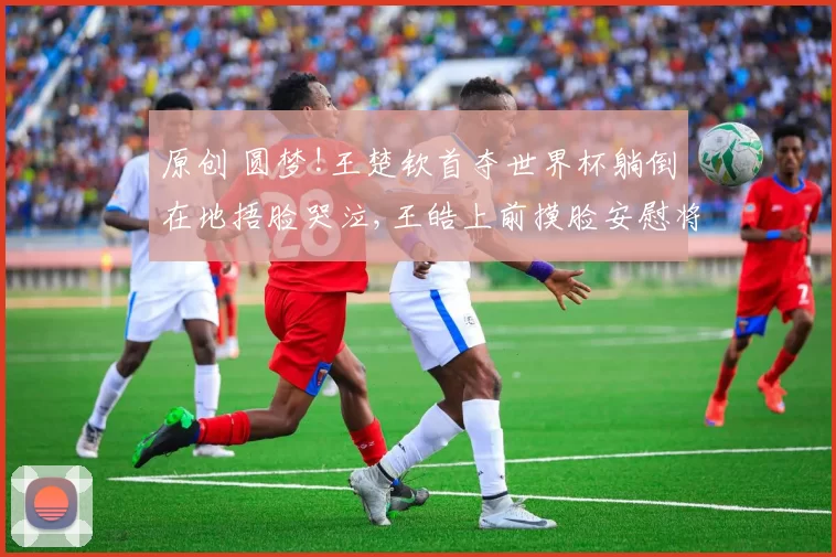 原创 圆梦!王楚钦首夺世界杯躺倒在地捂脸哭泣,王皓上前摸脸安慰将他扶起
