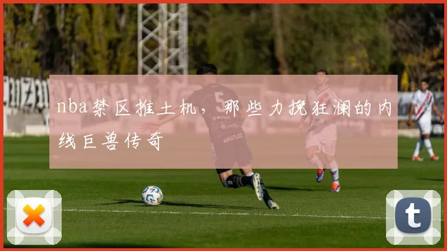nba禁区推土机，那些力挽狂澜的内线巨兽传奇