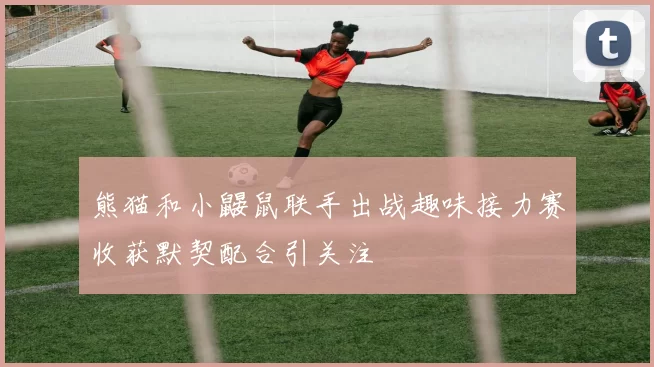 熊猫和小鼹鼠联手出战趣味接力赛收获默契配合引关注