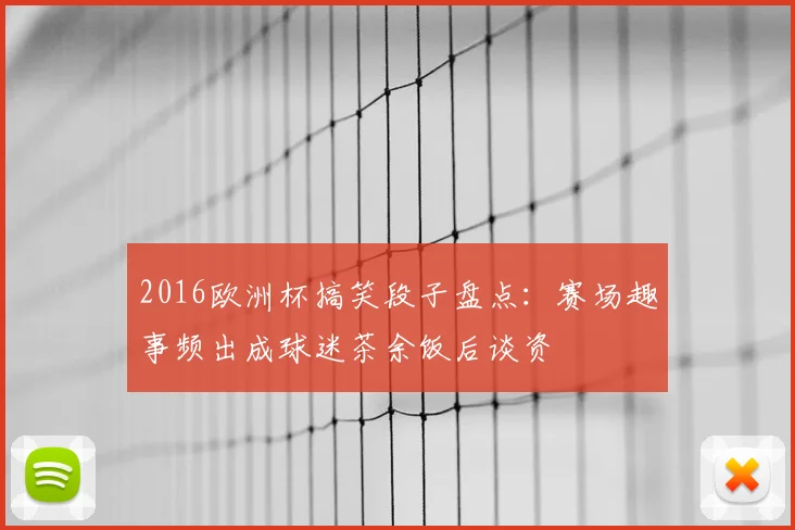 2016欧洲杯搞笑段子盘点：赛场趣事频出成球迷茶余饭后谈资