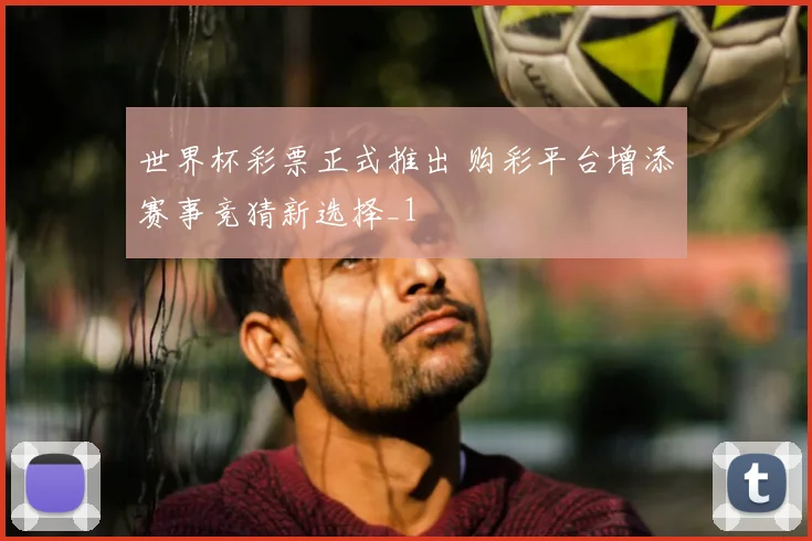 世界杯彩票正式推出 购彩平台增添赛事竞猜新选择_1
