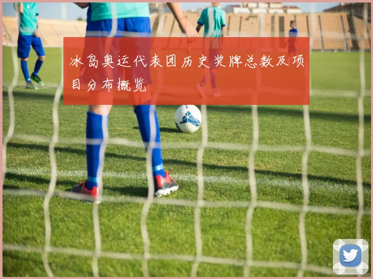 冰岛奥运代表团历史奖牌总数及项目分布概览