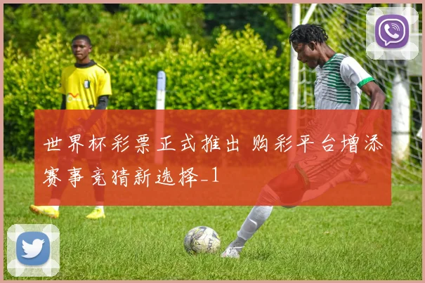 世界杯彩票正式推出 购彩平台增添赛事竞猜新选择_1