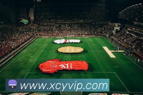 多媒体互动体验